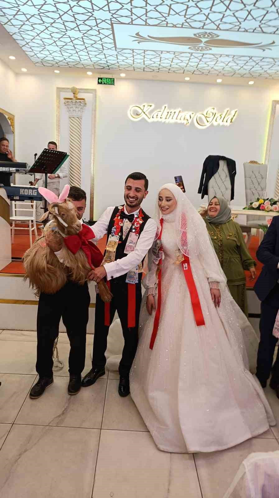 TRABZON'DA BİR DÜĞÜNDE TAKI TÖRENİNDE ALTIN YERİNE KEÇİ TAKILDI. SÜSLEDİĞİ VE BEZLEDİĞİ KEÇİYLE...