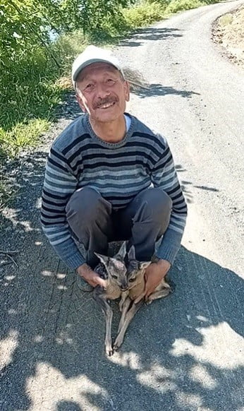 TRABZON’DA YOLDA KARŞILAŞTIĞI İKİ KARACA YAVRUSUNA, BİR DÖNEM HAYRANI OLDUĞU FUTBOLCU KARDEŞLER...