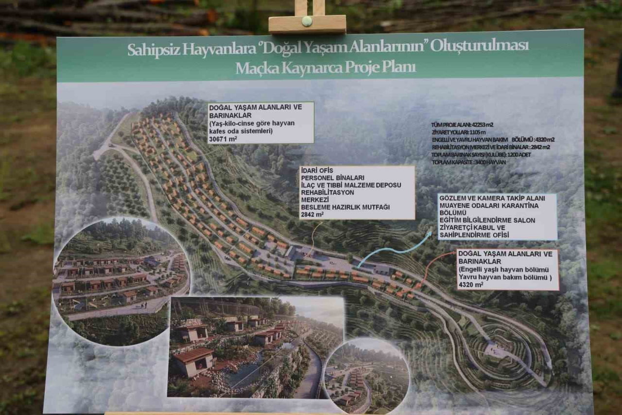TRABZON’DAKİ SAHİPSİZ SOKAK HAYVANLARI İÇİN MAÇKA'NIN KAYNARCA VE AKÇAABAT'IN AKÇAKALE MAHALLELERİ...