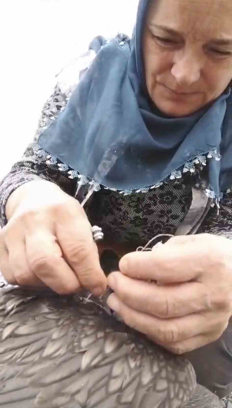 TRABZON’UN OF İLÇESİNDE YARALI HALDE BULUNAN BİR KARABATAK, DUYARLI BİR VATANDAŞIN MÜDAHALESİYLE...