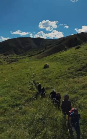 TUNCELİ'DE MANTAR TOPLAMAK İÇİN ARAZİYE ÇIKAN 3 KİŞİ AYI SALDIRISINDA YARALANDI.