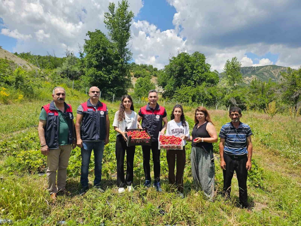 TUNCELİ’NİN GEYİKSUYU KÖYÜNDE YÜRÜTÜLEN ALBİON ÇİLEK PROJESİ KAPSAMINDA DÜZENLENEN TARLA GÜNÜ...