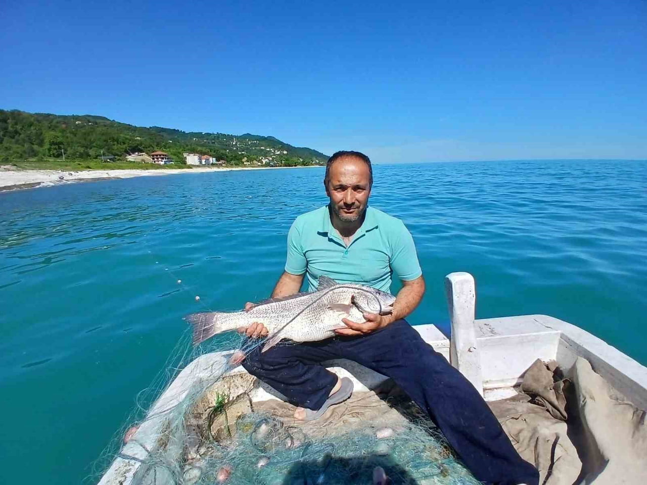 TÜRKELİ İLÇESİNDE KARADENİZ'DE NADİR RASTLANAN BEYAZ KÖTEK BALIĞI YAKALANDI. YAKLAŞIK 8 KİLOGRAM...