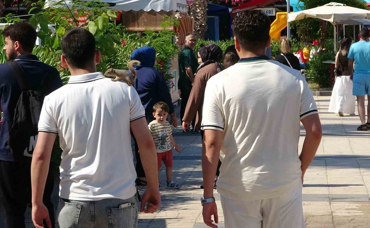 TÜRKİYE'NİN ÖNEMLİ TURİZM NOKTALARINDAN MERSİN KIZKALESİ'NE GELEN GENÇLER, YARALI BULUP...