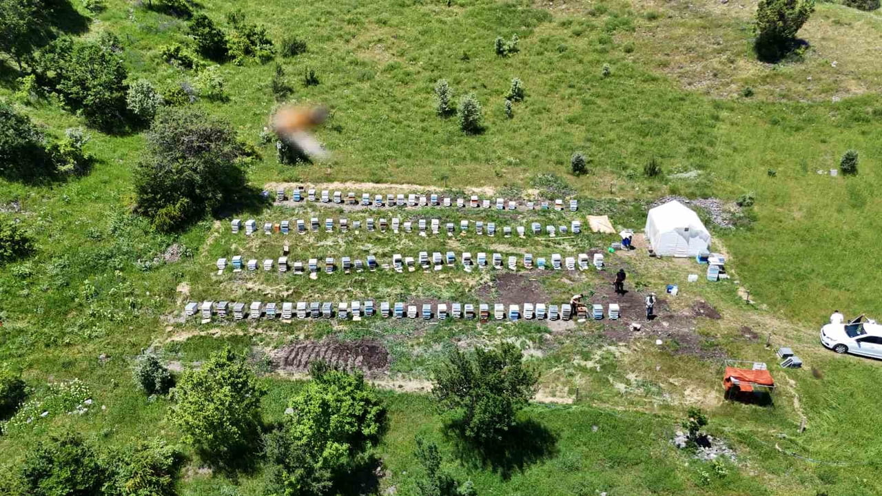 TÜRKİYE’NİN EN ÖNEMLİ BAL ÜRETİM NOKTALARINDAN BİRİSİ OLAN SİVAS’TA REKOLTEDE ARTIŞ BEKLENİYOR....