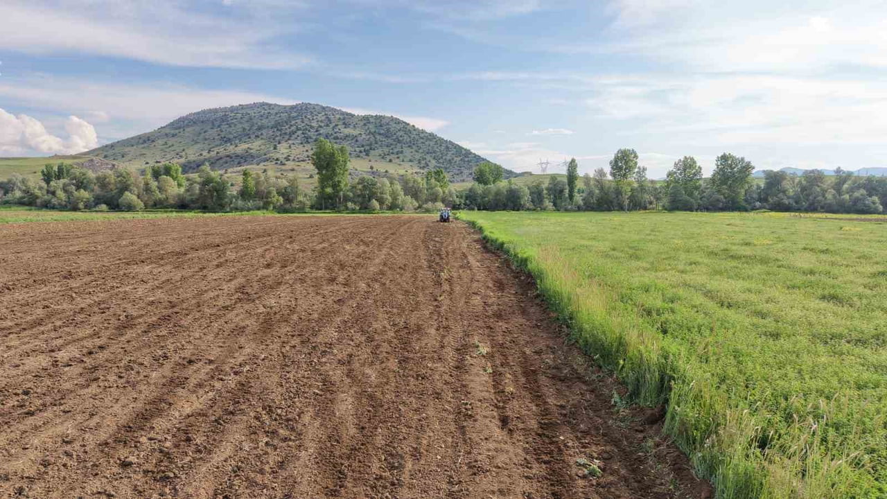 TÜRKİYE’NİN EN ÖNEMLİ HUBUBAT ÜRETİM MERKEZLERİNDEN ADANA’DA, DEVLETİN VERDİĞİ DESTEKLER AYÇİÇEĞİ...