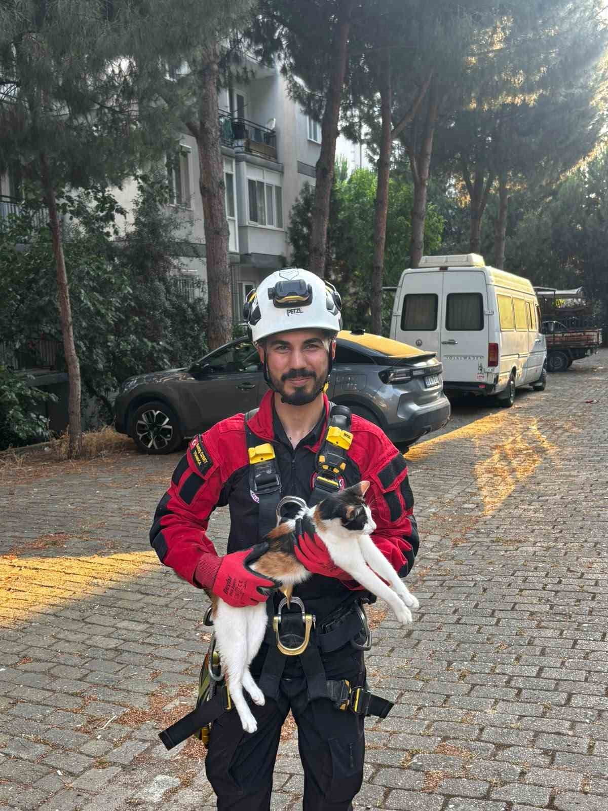 ÜÇ GÜNDÜR AĞAÇTA MAHSUR KALAN KEDİ KURTARILDI