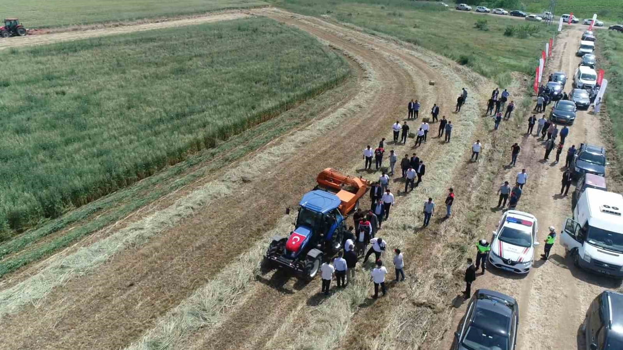 ÜRETİLEN YEM BİTKİLERİ UYGUN FİYATLARLA HAYVANCILIK YAPAN VATANDAŞLARA ULAŞTIRILACAK.