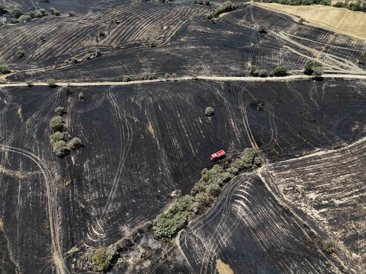 UŞAK'TA TARIM ARAZİSİNDE ÇIKAN VE RÜZGARIN ETKİSİYLE BÜYÜYEN YANGINDA YAKLAŞIK 300 DEKAR ARPA VE...