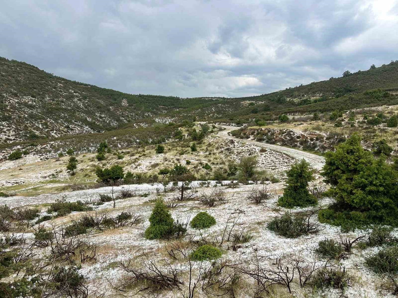 UŞAK’TA ÖĞLE SAATLERİNDE ETKİLİ OLAN SAĞANAK YAĞIŞIN ARDINDAN YÜKSEK KESİMLERDE GÖRÜLEN DOLU...