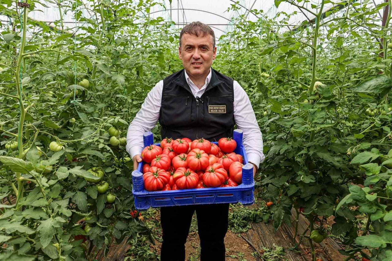 VALİ SÖZER DE HASADA KATILDI