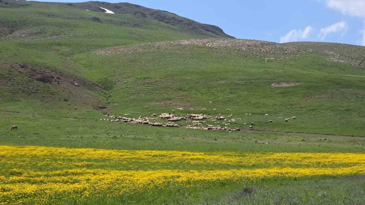 VAN'DA, YAZ MEVSİMİNİN YÜZÜNÜ GÖSTERDİĞİ BU GÜNLERDE, ADETA İKİ FARKLI MEVSİMİ AYNI ANDA...