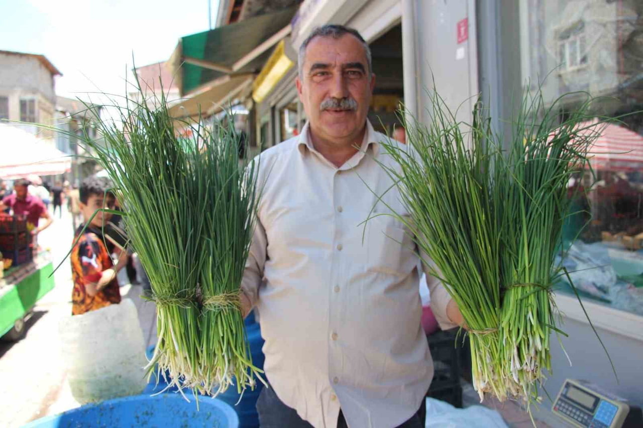 VAN'IN YÜKSEK RAKIMLI DAĞLARINDA VE YAYLALARINDA BÜYÜK EMEKLERLE TOPLANAN ŞİFALI OTLAR, BU YIL...