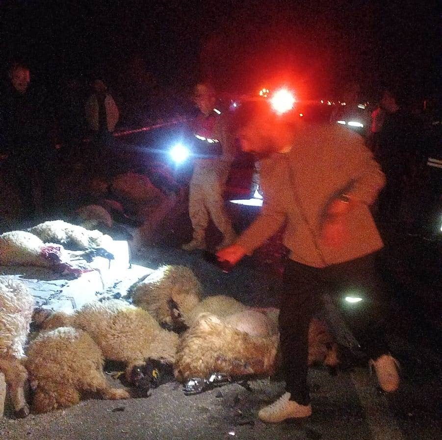 VAN’IN GÜRPINAR İLÇESİNDE OTOMOBİLİN KOYUN SÜRÜSÜNE ÇARPMASI  SONUCU MEYDANA GELEN TRAFİK...