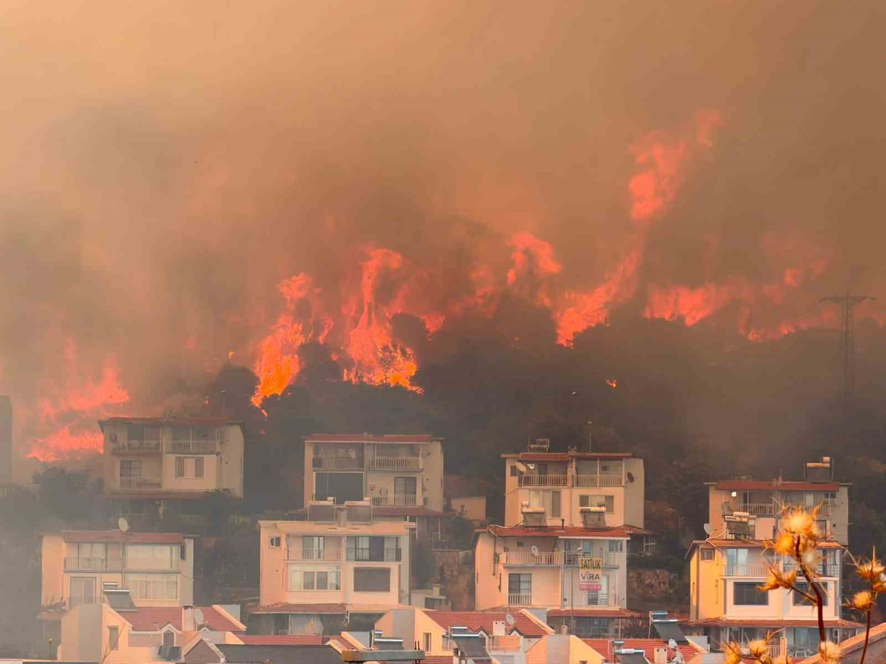 YANGIN BAZI NOKTALARDA YERLEŞİM YERLERİNİ DE TEHDİT ETTİ