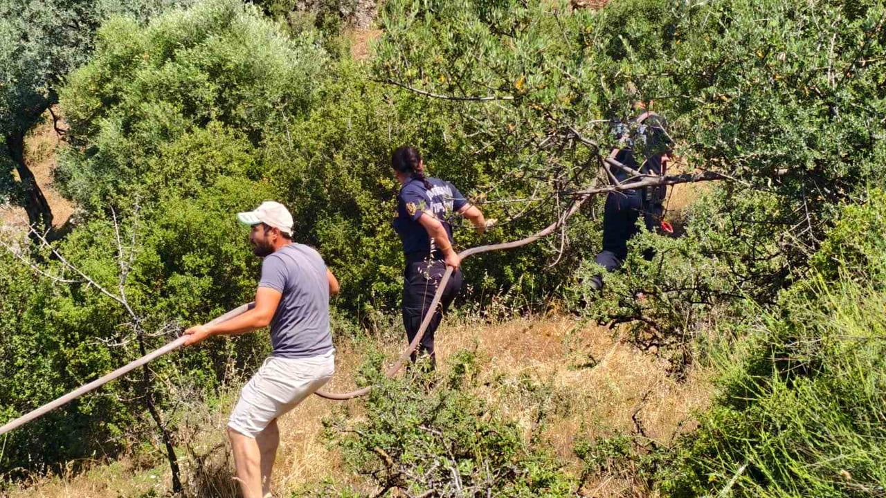 YENİPAZAR’DAKİ OTLUK ALAN YANGINI KONTROL ALTINA ALINDI