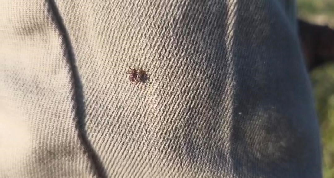 YOZGAT'IN SORGUN İLÇESİNE BAĞLI ARAPLI KASABASI'NDA UZUN YILLARDIR HAYVANCILIKLA UĞRAŞAN LOKMAN...