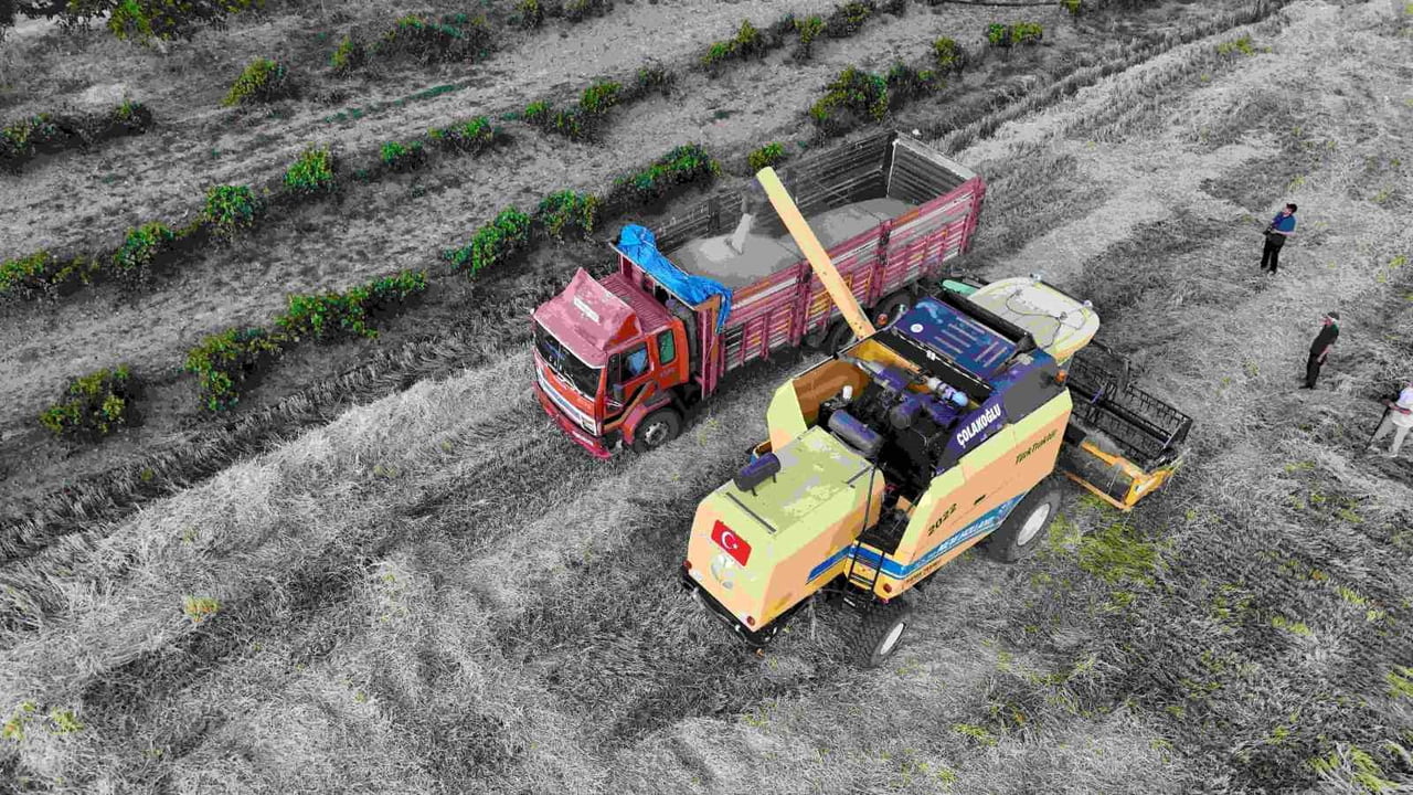 YOZGAT'TA YERKÖY VE SEKİLİ BÖLGESİNDEKİ TARIM ARAZİLERİNDE SEZONUN İLK ARPA HASADI...