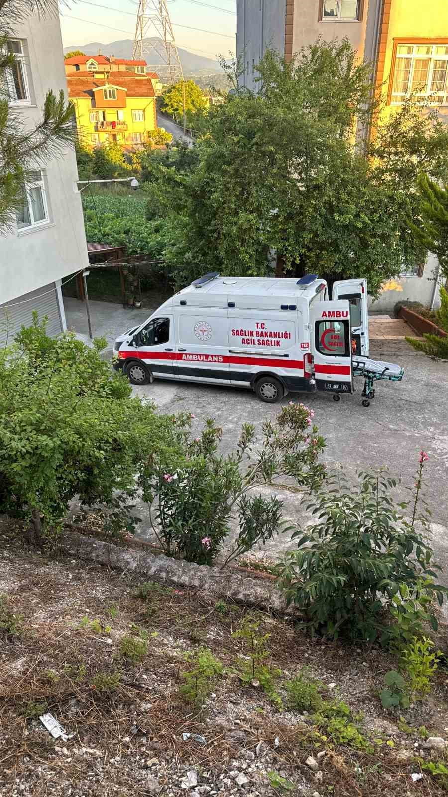 ZONGULDAK (İHA) - ZONGULDAK'IN ALAPLI İLÇESİNDE DUT TOPLAMAK İÇİN ÇIKTIĞI AĞAÇTAN DENGESİNİ...