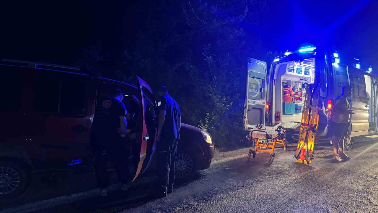 ZONGULDAK (İHA) - ZONGULDAK’IN ALAPLI İLÇESİNDE DİREKSİYON BAŞINDA UYUYAKALAN SÜRÜCÜNÜN YAPILAN...