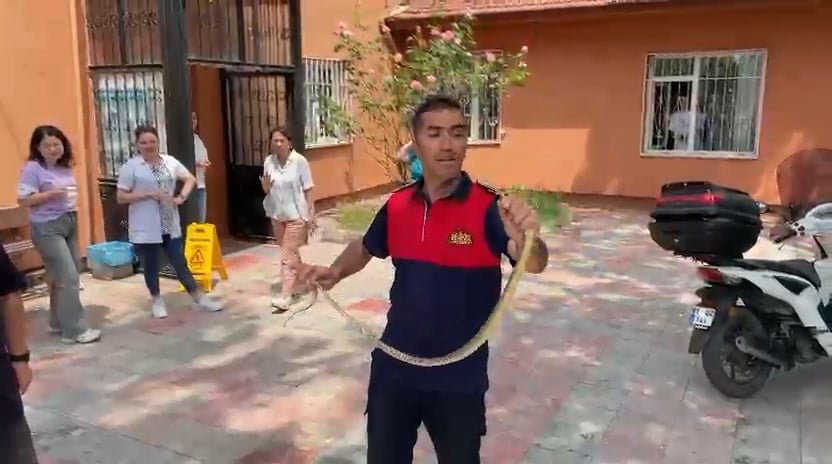 ZONGULDAK’IN ALAPLI İLÇESİNDE BULUNAN ALAPLI 1 NO’LU SAĞLIK OCAĞI’NA GİREN YILAN, SAĞLIK...
