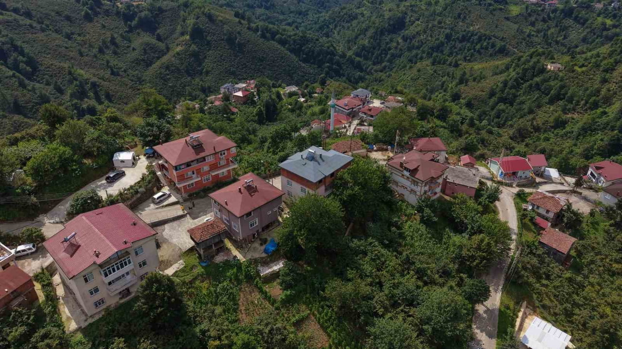 135 HANELİ PERŞEMBE İLÇESİ YAZLIK MAHALLESİ