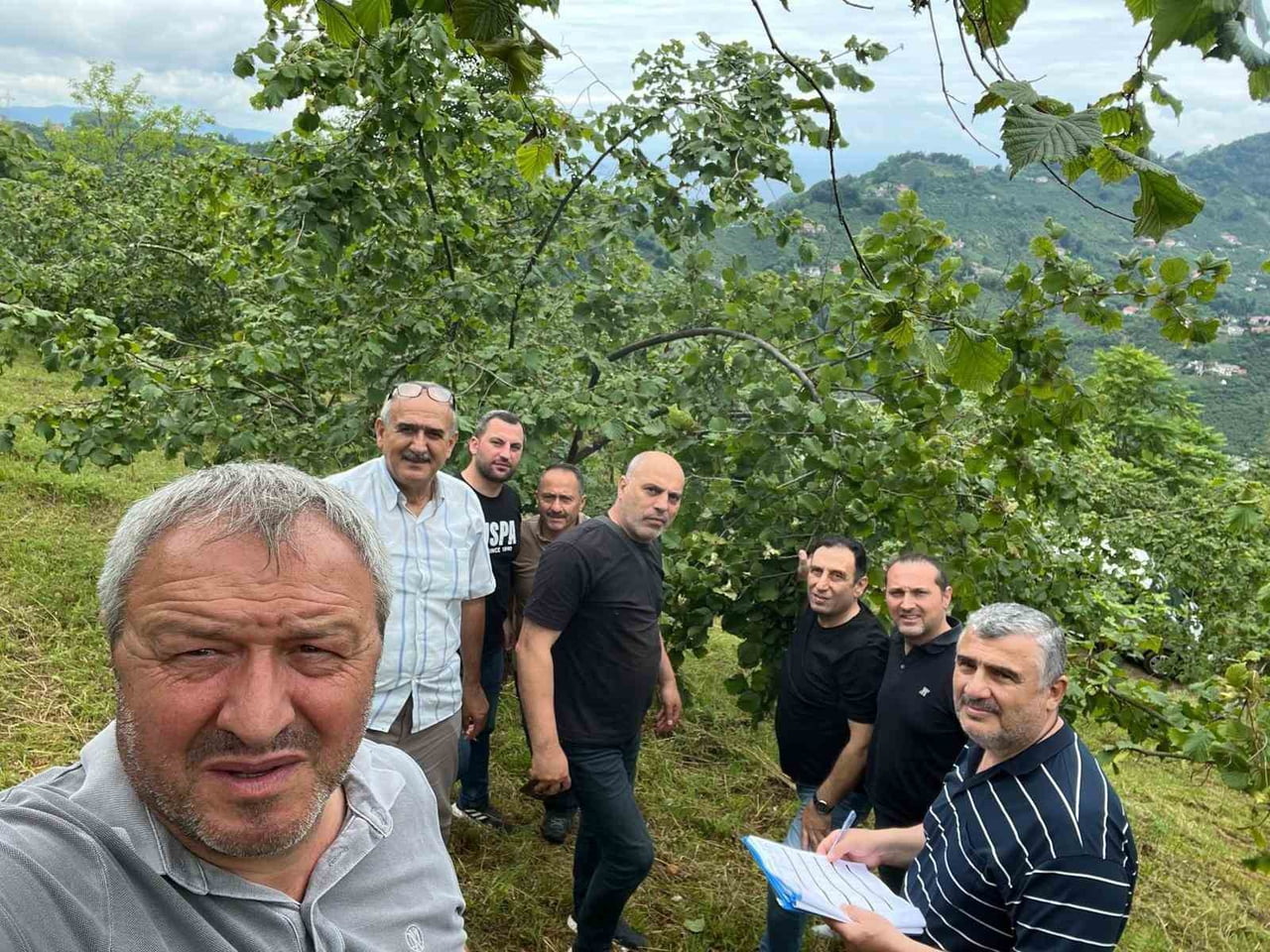 2026 ÜRÜNÜ FINDIK REKOLTESİNİN TESPİTİ İÇİN TRABZON’DA DA ÇALIŞMALARA BAŞLANDI. 13 TEMMUZ 2026...