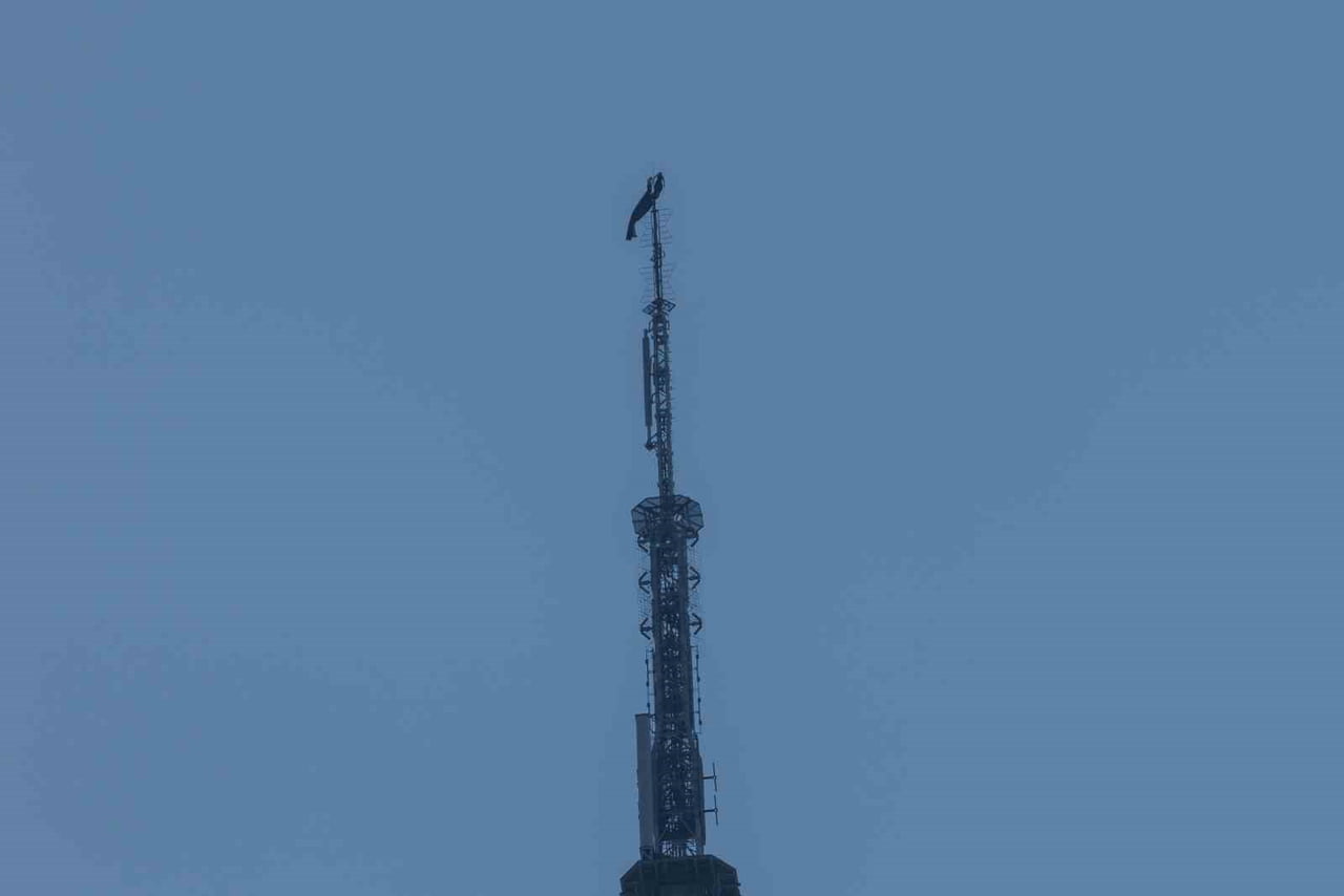 ABD’NİN NEW YORK ŞEHRİNDE EVLİLİK TEKLİFİ İÇİN 443 METRE YÜKSEKLİĞİNDEKİ EMPİRE STATE BİNASININ...