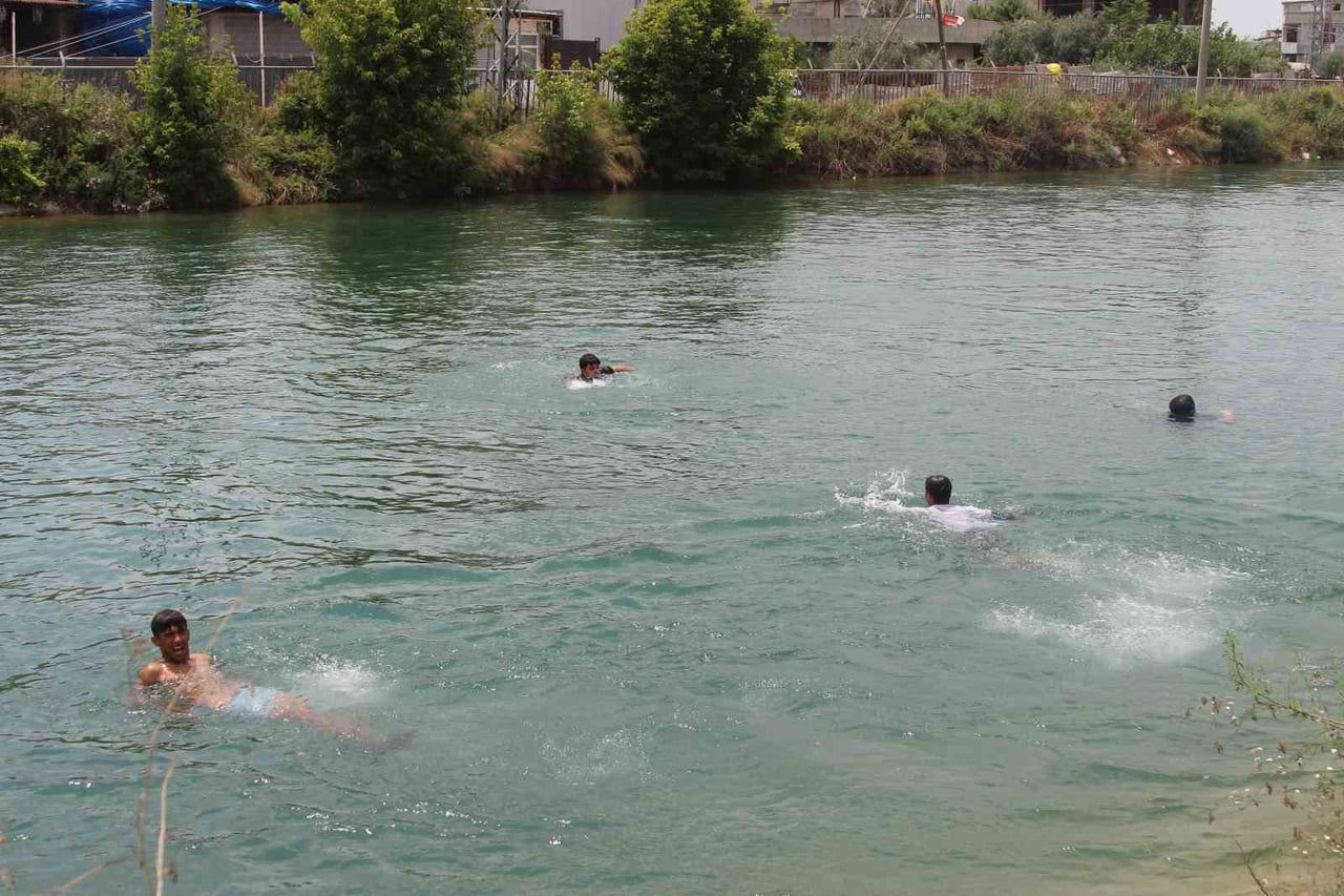 ADANA'DA KAVURUCU SICAKLARIN ETKİSİNİ ARTIRDIĞI GÜNLERDE SERİNLEMEK İÇİN SULAMA KANALLARINA GİREN...
