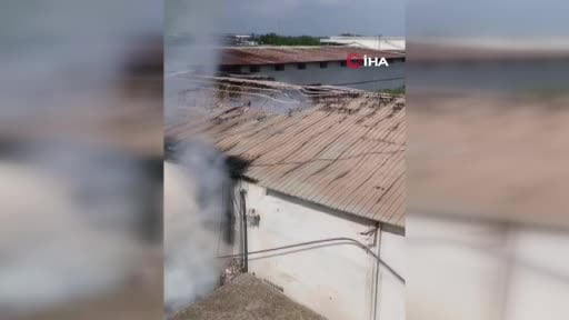 Adana'da narenciye paketleme tesisinde yangın