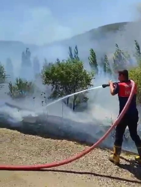 ADIYAMAN'IN BESNİ İLÇESİNDE MEYDANA GELEN BAHÇE YANGININDA BİR ÇOK SAYIDA AĞAÇ ZARAR...