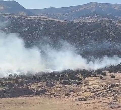 ADIYAMAN’DA, MEYDANA GELEN ORMAN YANGINI PANİĞE NEDEN OLDU.