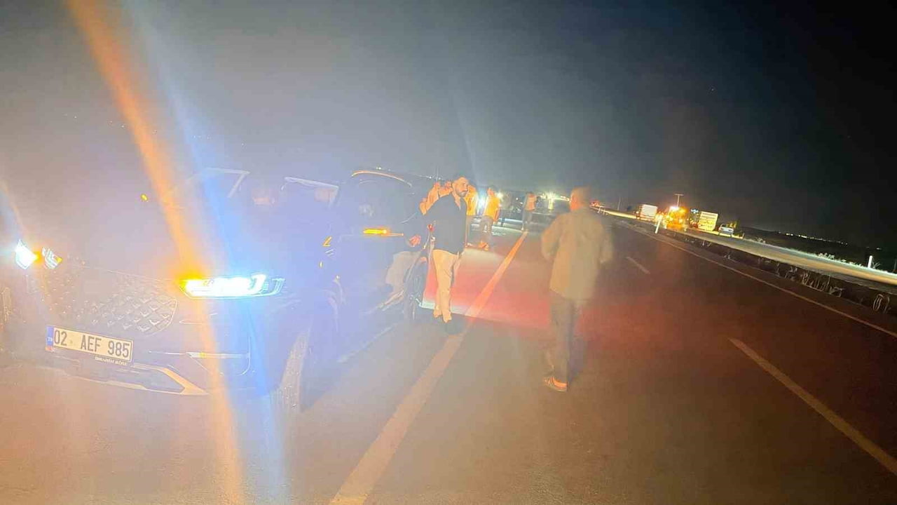 ADIYAMAN’DA OTOMOBİLİN ÇARPTIĞI SÜRÜDEN 12 KÜÇÜKBAŞ HAYVAN TELEF OLDU.
