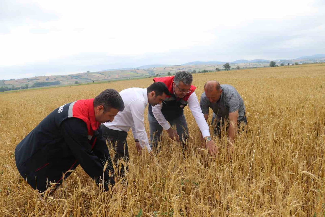AFETİN HEMEN ARDINDAN SAMSUN İL TARIM VE ORMAN MÜDÜRLÜĞÜ EKİPLERİ, İLÇE MÜDÜRLÜĞÜ EKİPLERİ İLE...