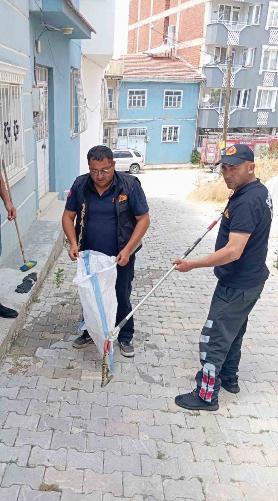 AFYONKARAHİSAR'IN SANDIKLI İLÇESİNDE BİR EVE GİREN YILAN, İTFAİYE EKİPLERİNİN MÜDAHALESİYLE...
