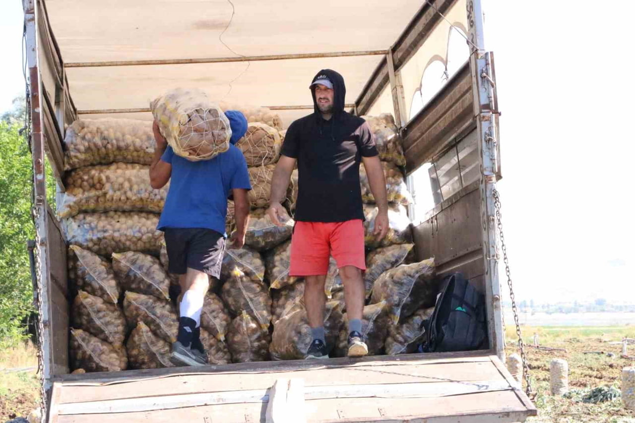 AFYONKARAHİSAR'IN SANDIKLI İLÇESİNDE HASADI BAŞLAYAN PATATES BU YIL KİLOGRAM FİYATI İLE...