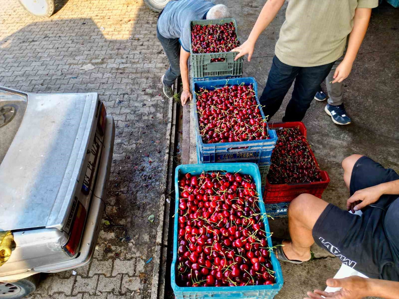 AFYONKARAHİSAR’DAN ÇIKARAK BİRÇOK AVRUPA ÜLKESİ BAŞTA OLMAK ÜZERE RUSYA'DA SOFRALARI SÜSLEYEN...