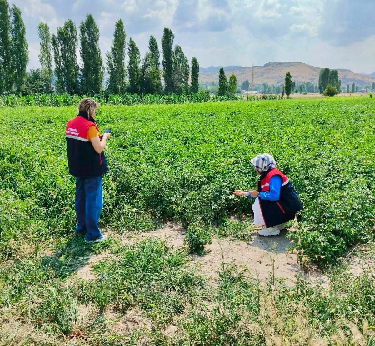 AFYONKARAHİSAR İL TARIM VE ORMAN MÜDÜRLÜĞÜ EKİPLERİ, TARIM ARAZİLERİNİN KORUNMASI VE...