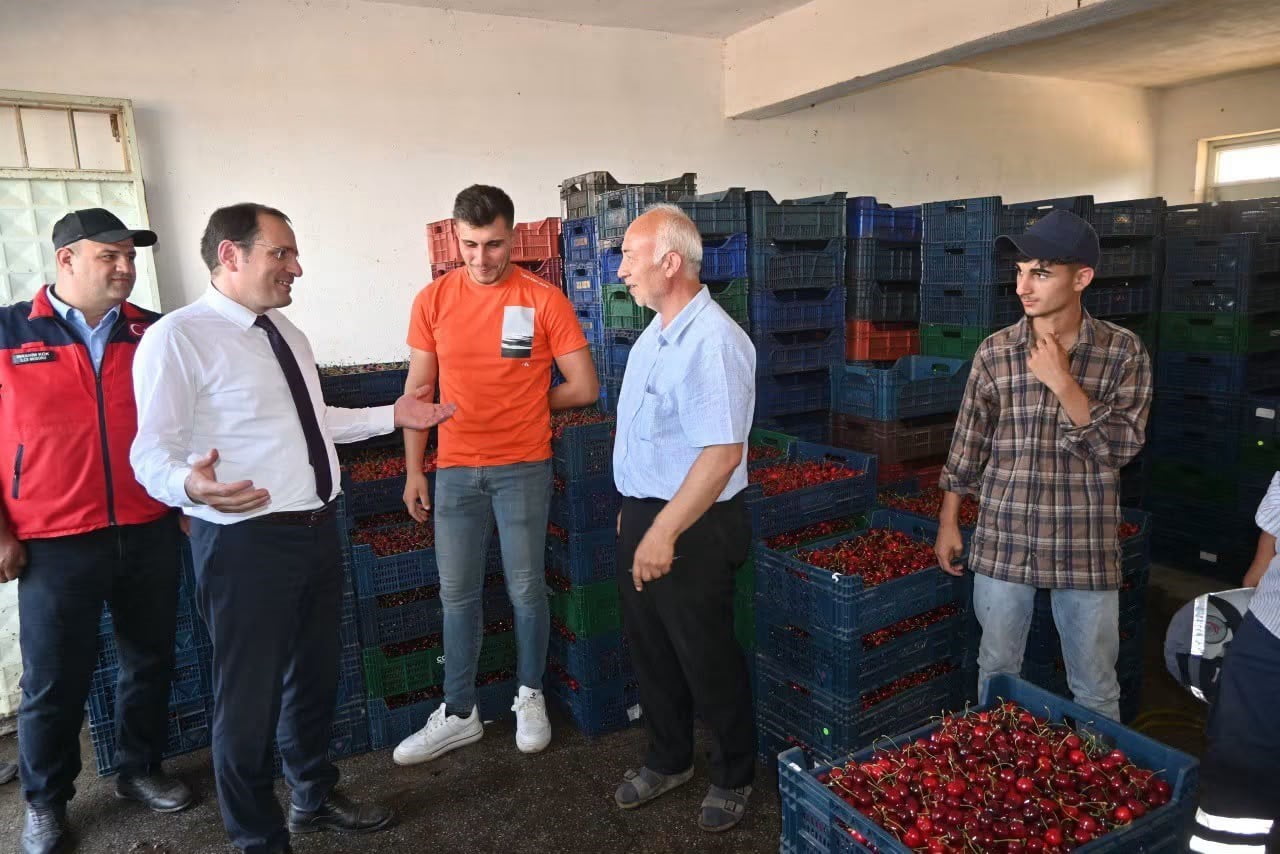 AFYONKARAHİSAR’IN ÇAY İLÇESİNDE KİRAZ HASADININ BAŞLAMASIYLA BİRLİKTE KAYMAKAM HASAN HÜSNÜ TÜRKER...