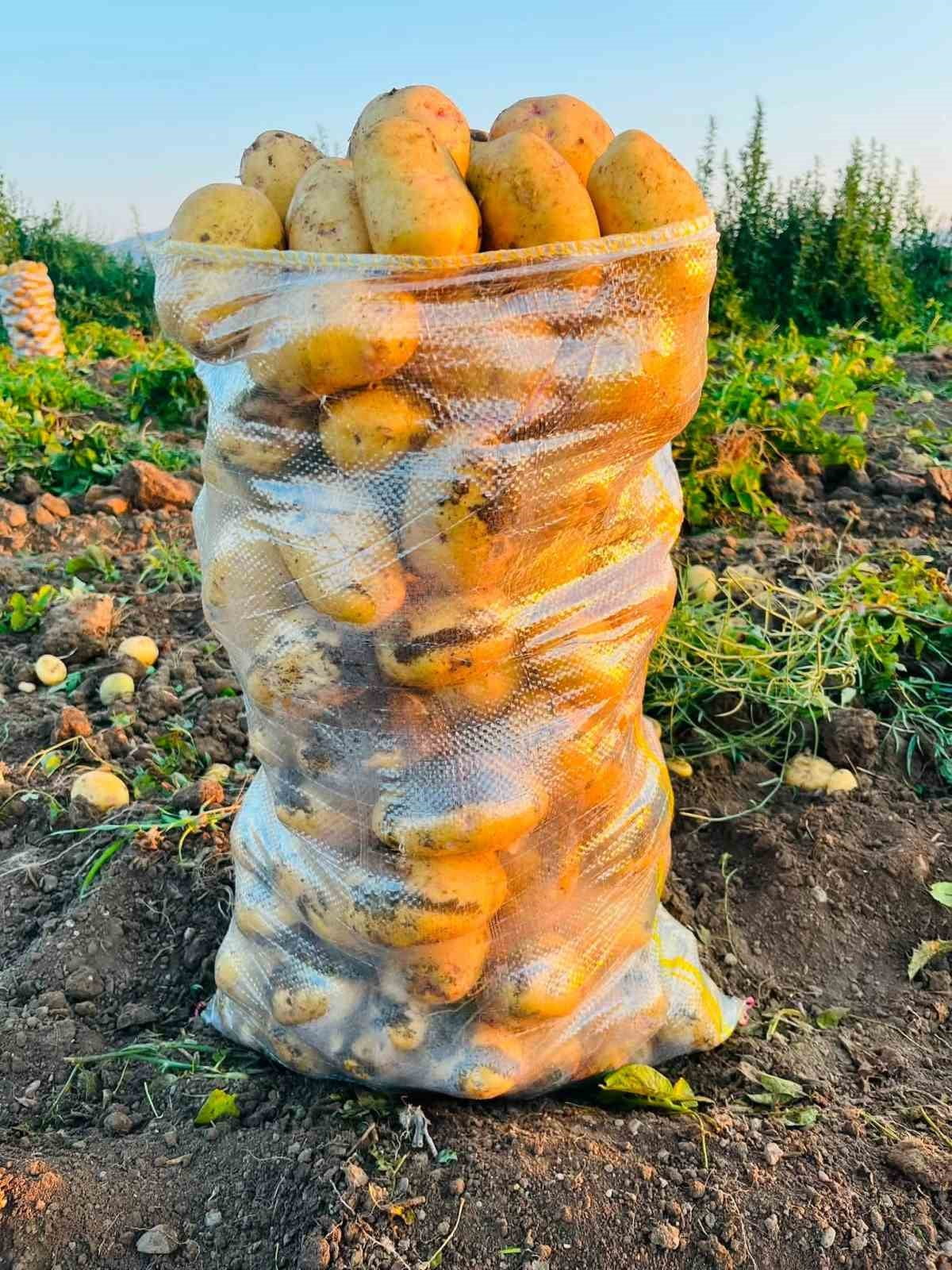 AFYONKARAHİSAR’IN DİNAR İLÇESİNDE, KENDİNE HAS AROMASI VE YÜKSEK KALİTESİYLE BİLİNEN MEŞHUR...
