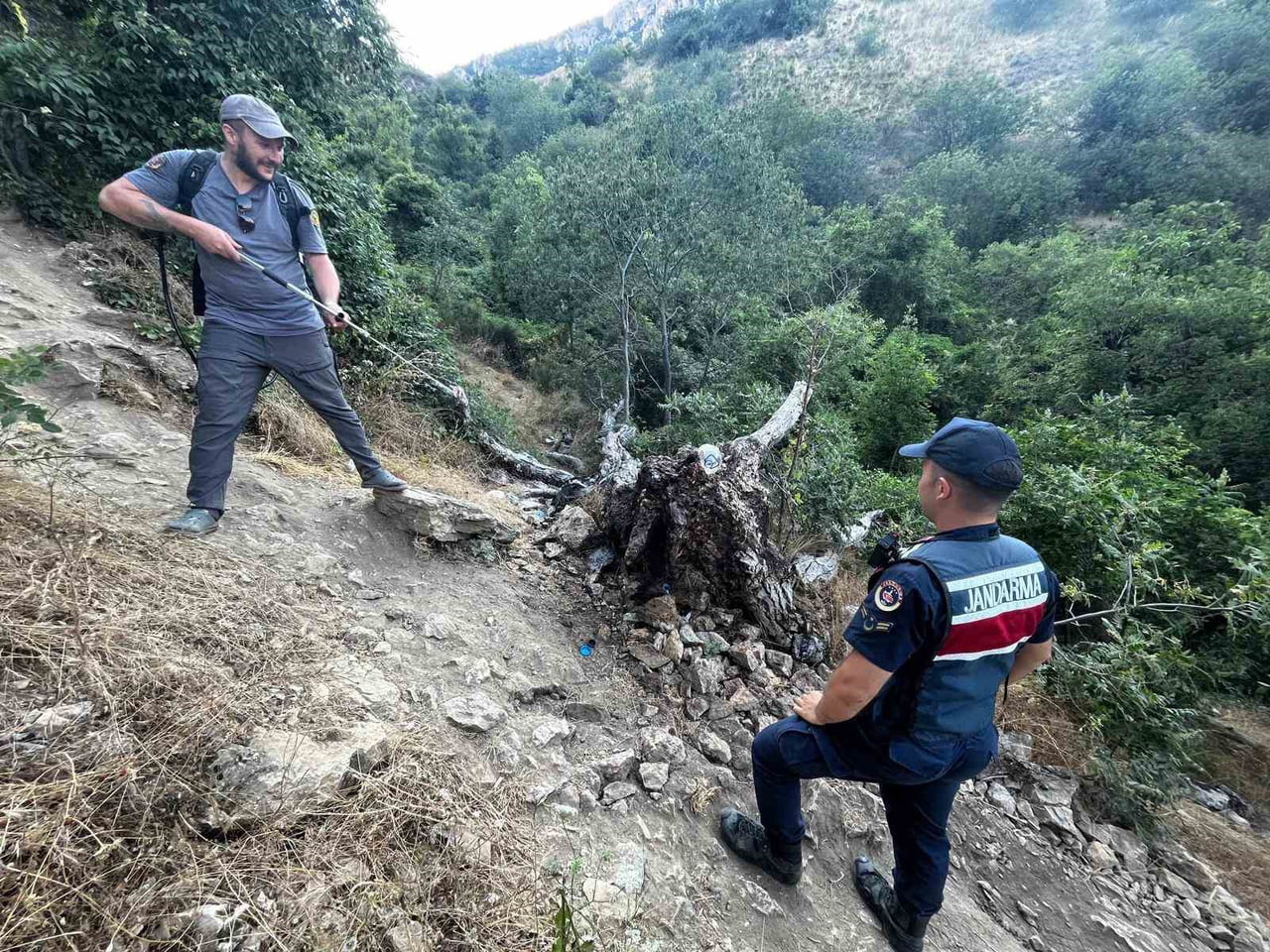 AĞAÇ YANGINI KORKUTTU