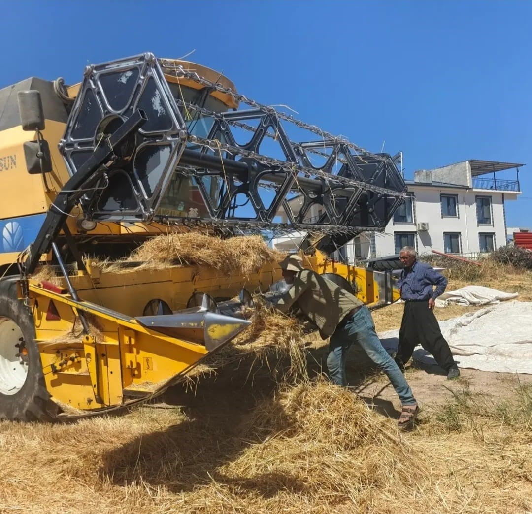 AĞIN'DA HASAT SEZONUNDA BİÇERDÖVER DENETİMLERİ
