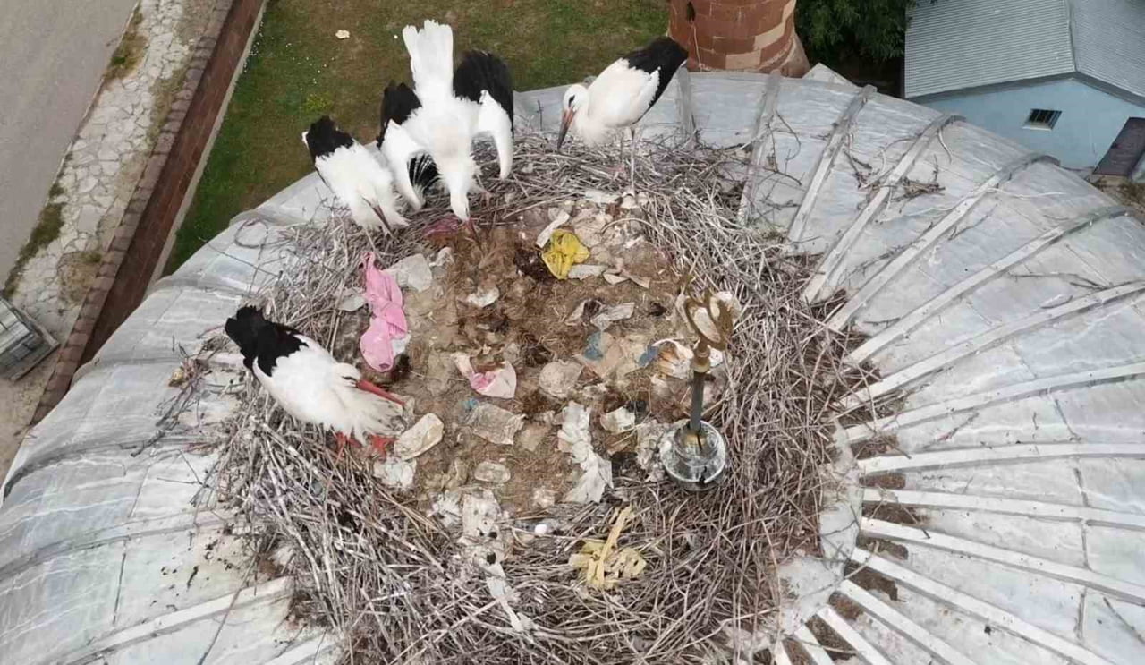 AĞRI'NIN PATNOS İLÇESİNDE HER YIL BAHAR AYLARINDA YUVALARINA DÖNEN LEYLEKLER, BU YIL HAVA...