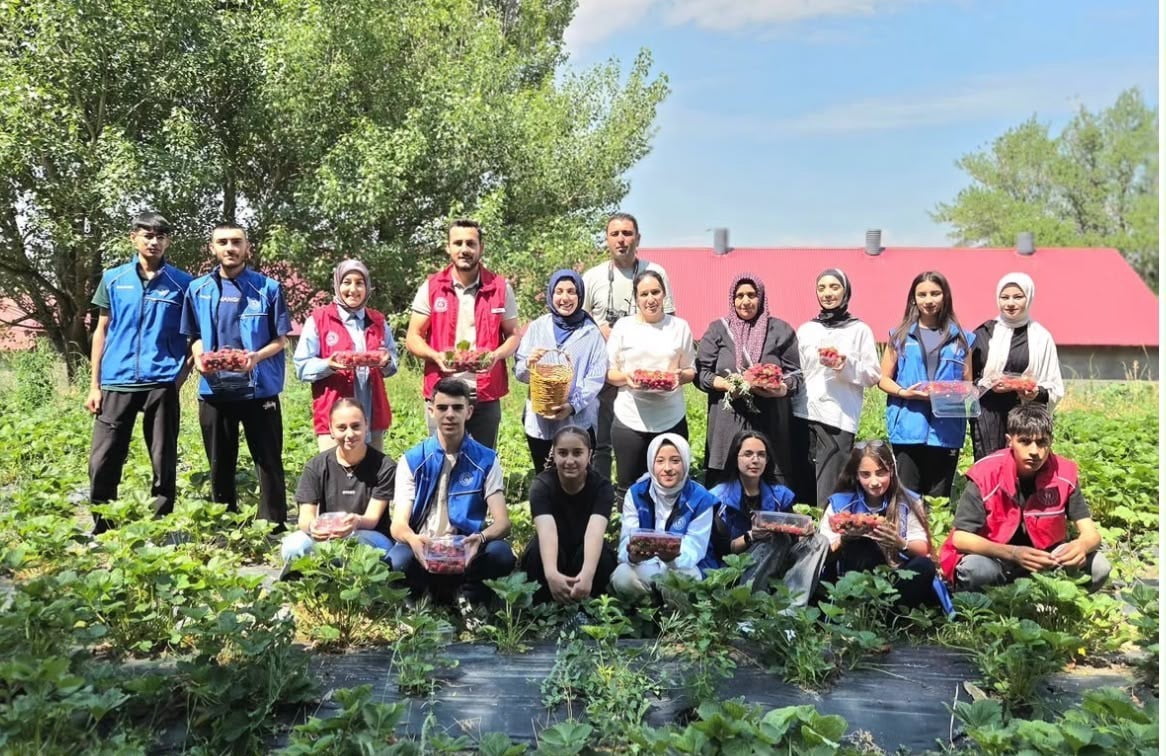AĞRILI GÖNÜLLÜ GENÇLERDEN ÇİLEK HASADINA DESTEK