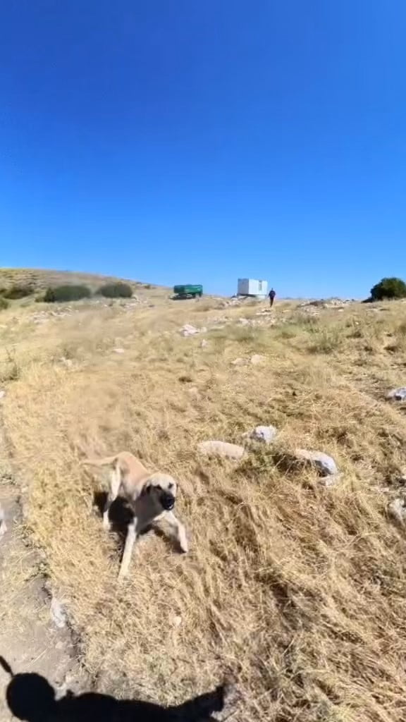 ALADAĞLAR BÖLGESİNDE BASE JUMP ATLAYIŞI GERÇEKLEŞTİREN SPORCU SAMET BAYDAR, İNİŞ YAPTIĞI SIRADA...