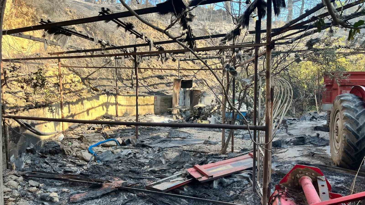 ALANYA İLÇESİNDE GECE SAATLERİNDE ÇIKAN ORMAN YANGINI, RÜZGARIN ETKİSİYLE MUZ SERALARINA SIÇRADI....