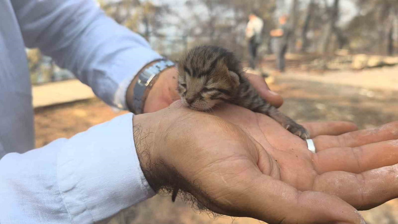 ALEVLERDEN KURTULAN KEDİYE İHA EKİBİ KUCAK AÇTI