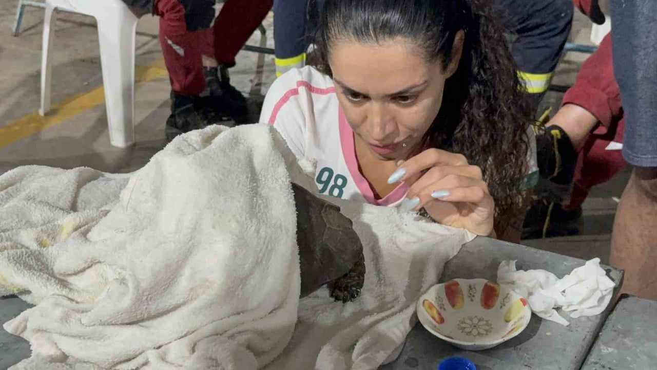 ALEVLERİN ARASINDAN KURTARILAN KAPLUMBAĞA İÇİN ZAMANLA YARIŞILDI