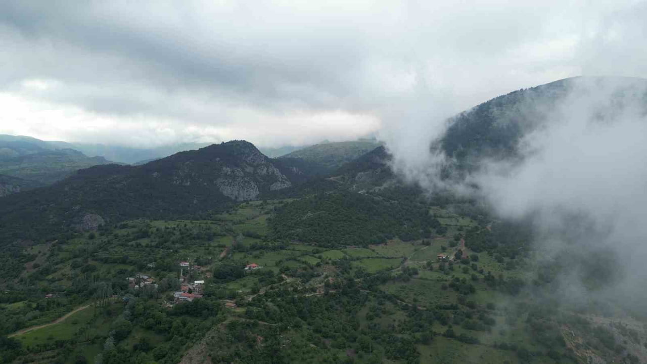 AMASYA'DA YANGIN RİSKİ NEDENİYLE ORMANLIK ALANLARA GİRİŞLER, 31 EKİM TARİHİNE KADAR...