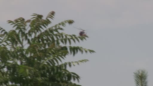 Ambulans helikopter beyin kanaması geçiren hasta için havalandı